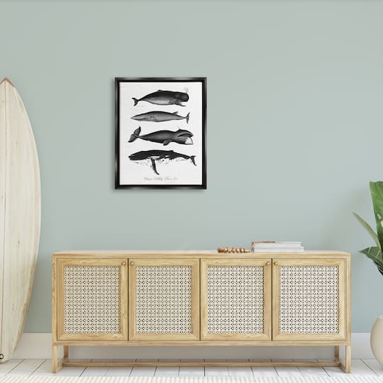 Stupell Industries Marine Wildlife Whales Drawings Diagram Framed Floater Canvas Wall Art